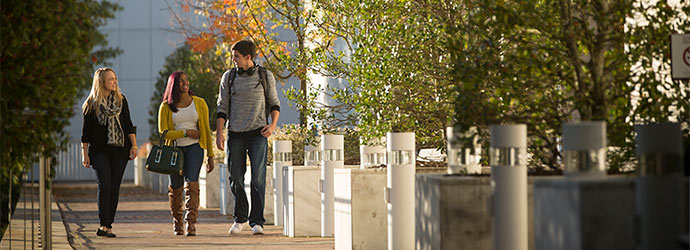 在一个美丽的秋日，三个学生在托马斯·库珀图书馆外散步。