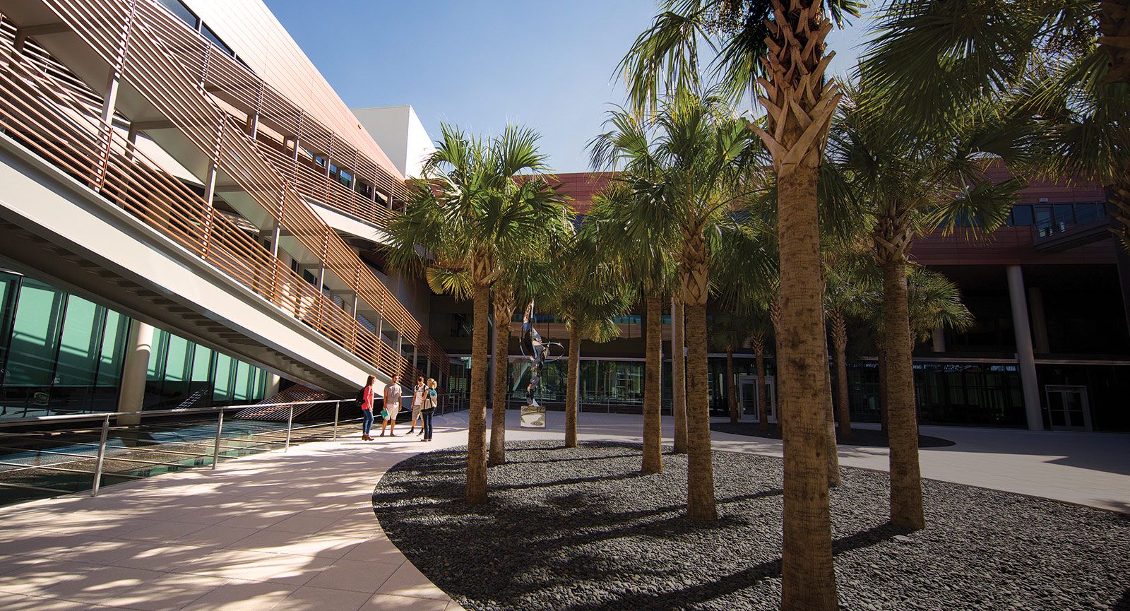 四名学生聚集在达拉摩尔商学院(Darla Moore School of Business)的院子里，左边是楼梯，右边是棕榈树。