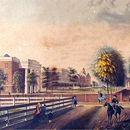 这是一幅1850年的马蹄形历史画，画中有砖房和墙，前面的绿地两旁种着棕榈树。