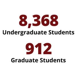 信息图：8368名本科生，912名研究生