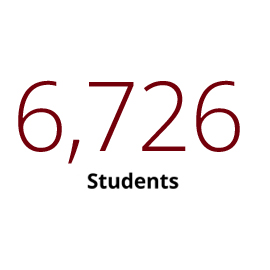 图表:5987学生