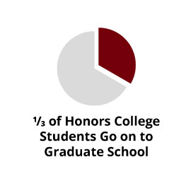 信息图表:1/3的荣誉学院学生继续读研究生
