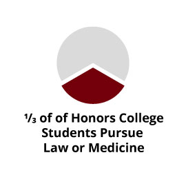 信息图表:1/3的荣誉学院学生攻读法律或医学