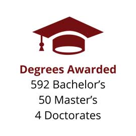 信息图:592名学士，50名硕士，4名博士