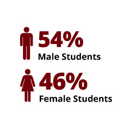 信息图:54%男生，46%女生