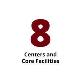 信息图:8个中心和核心设施