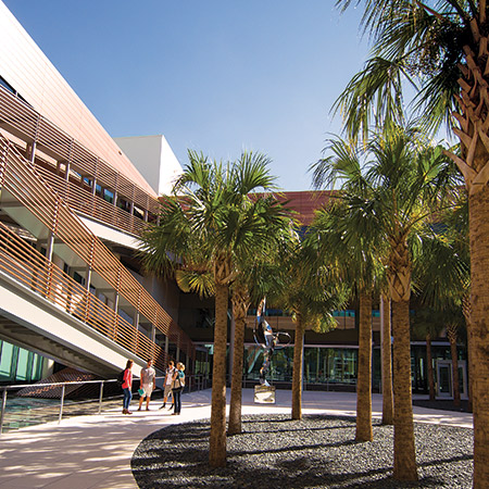 摩尔商学院大楼的庭院，棕榈树和四个学生站在一个艺术雕塑旁。